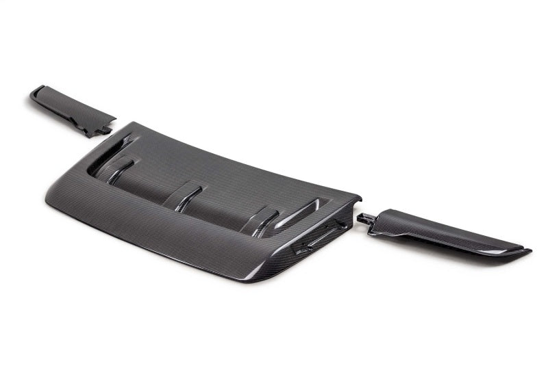 Load image into Gallery viewer, Photo - Primary