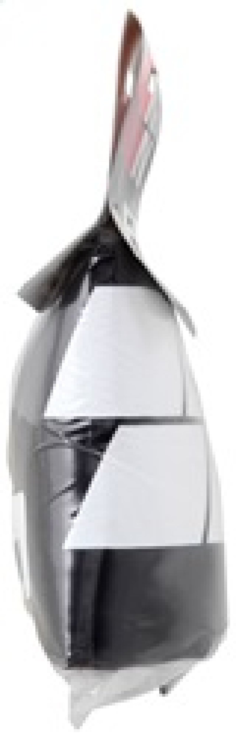 Load image into Gallery viewer, Photo - in package