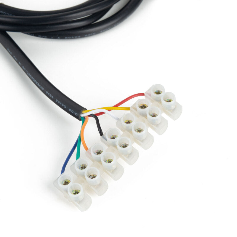 Load image into Gallery viewer, Photo - Close Up