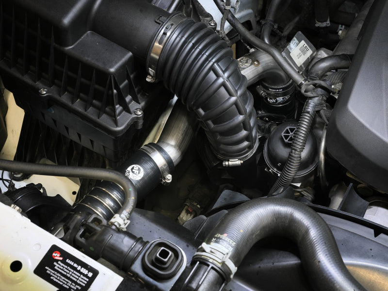 Load image into Gallery viewer, Photo - Mounted