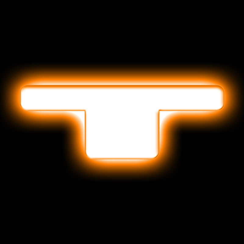 Load image into Gallery viewer, ORACLE Lighting Universal Illuminated LED Letter Badges - Matte Wht Surface Finish - T