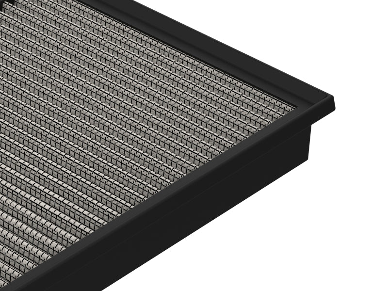 Load image into Gallery viewer, Photo - Unmounted