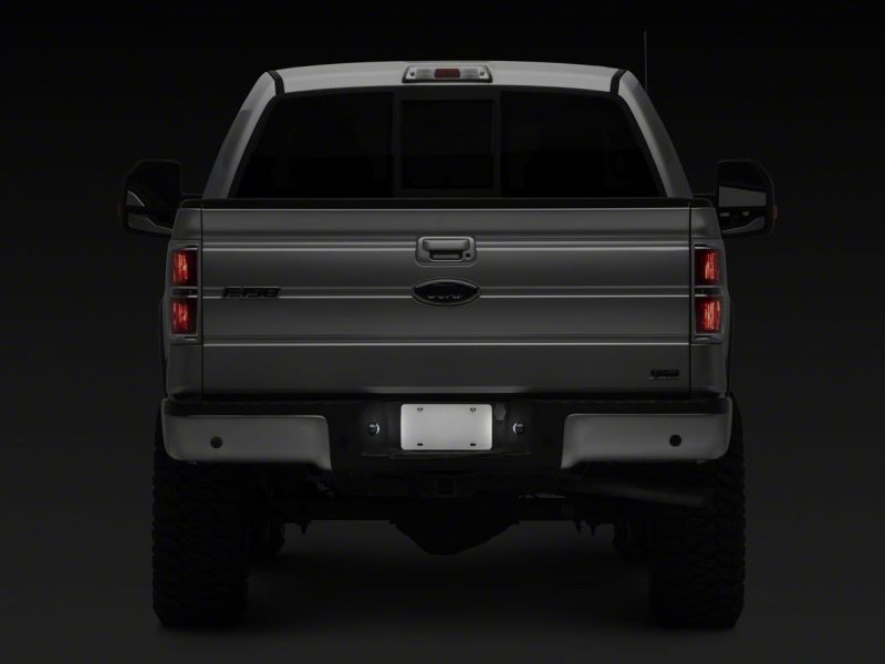 Load image into Gallery viewer, Raxiom 01-14 Ford F-150 Axial Series LED License Plate Light Bulb