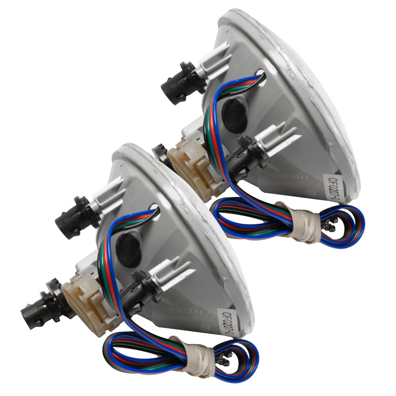 Load image into Gallery viewer, Photo - Close Up