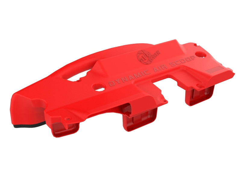 Load image into Gallery viewer, Photo - Unmounted