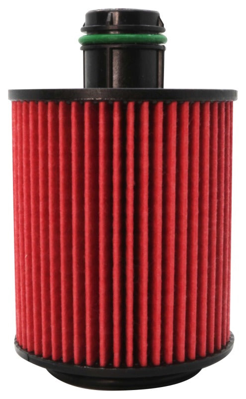 Load image into Gallery viewer, K&N Oil Filter Automotive 10-20 Fiat Egea 1.3L Diesel