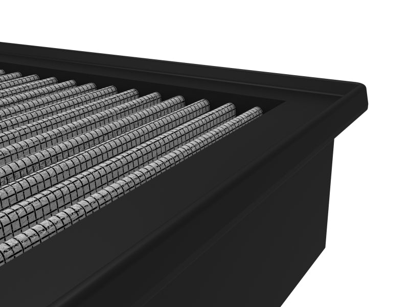 Load image into Gallery viewer, Photo - Close Up