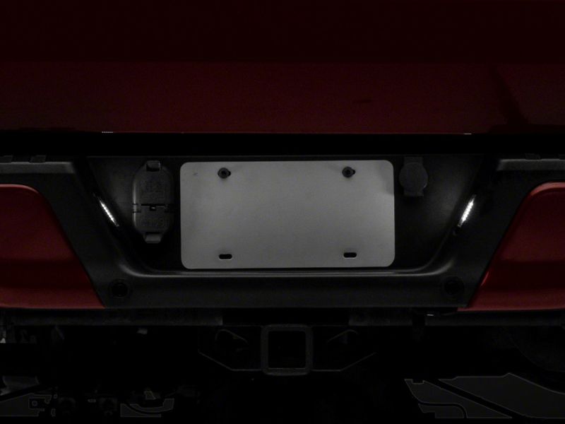 Load image into Gallery viewer, Raxiom 07-14 Ford F-150 Axial Series LED License Plate Lamps- Smoked