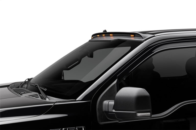 Load image into Gallery viewer, Photo - Mounted