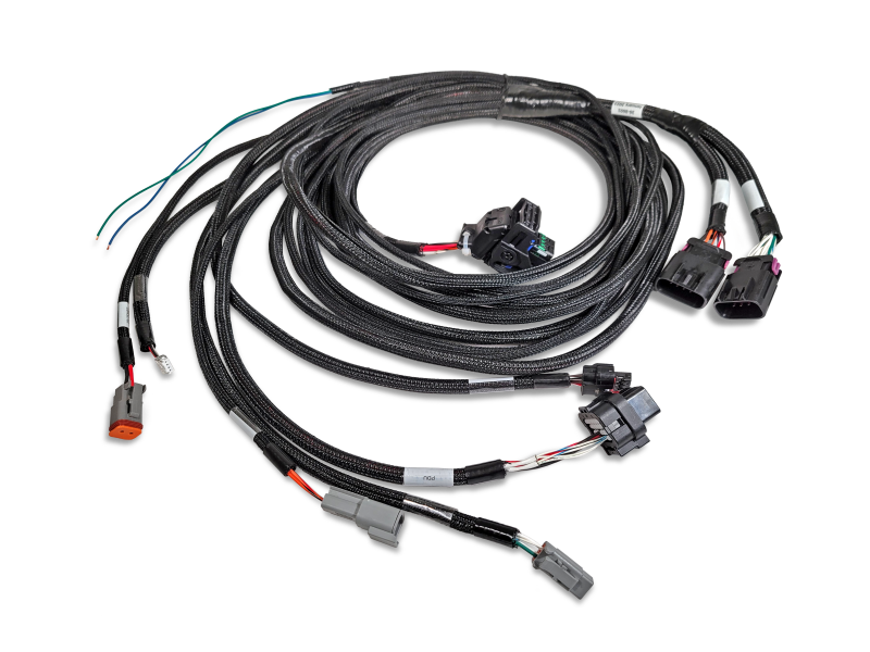 Load image into Gallery viewer, Photo - Primary