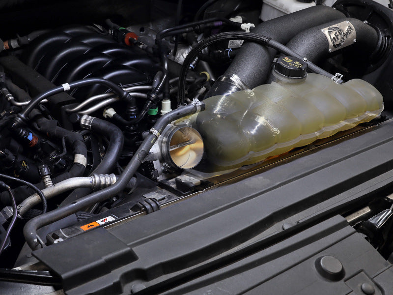 Load image into Gallery viewer, Photo - Mounted