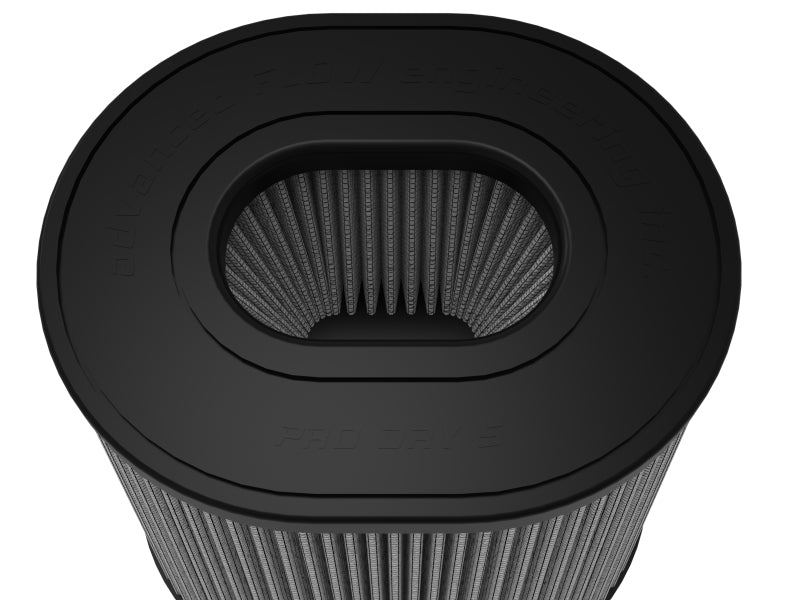 Load image into Gallery viewer, Photo - Close Up