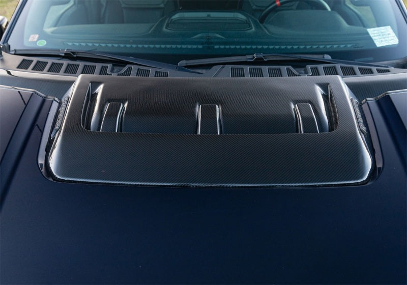 Load image into Gallery viewer, Photo - Mounted