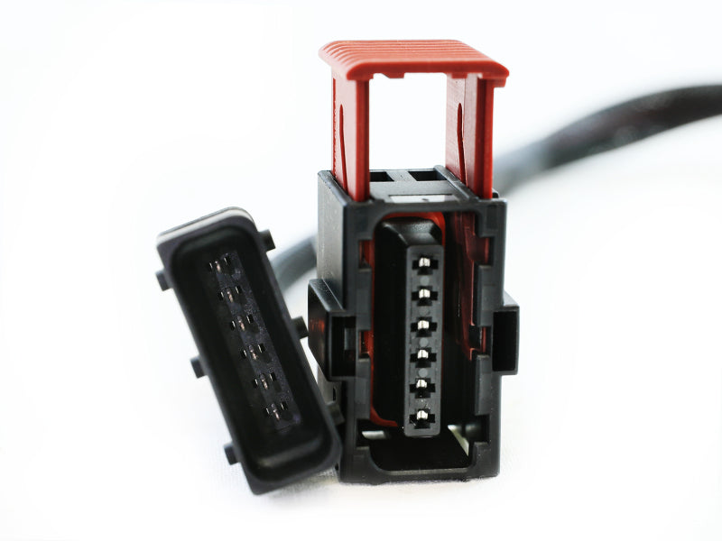 Load image into Gallery viewer, Photo - Close Up