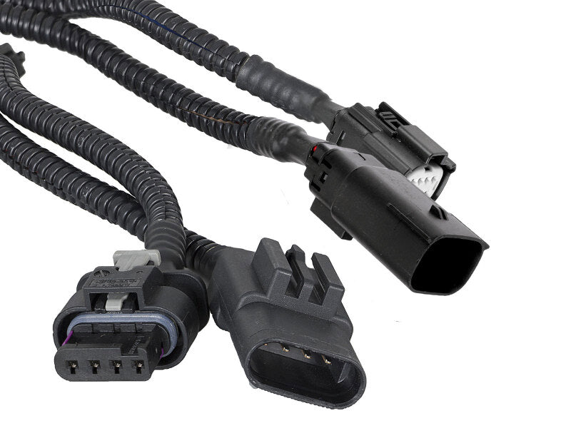 Load image into Gallery viewer, Photo - Unmounted