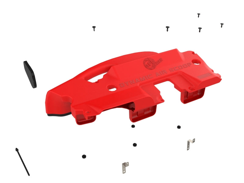 Load image into Gallery viewer, Photo - Unmounted