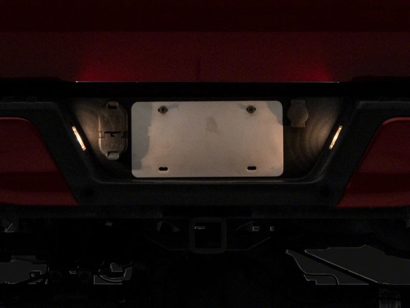 Load image into Gallery viewer, Raxiom 15-23 Ford F-150 Axial Series OEM Replacement License Plate Lamps