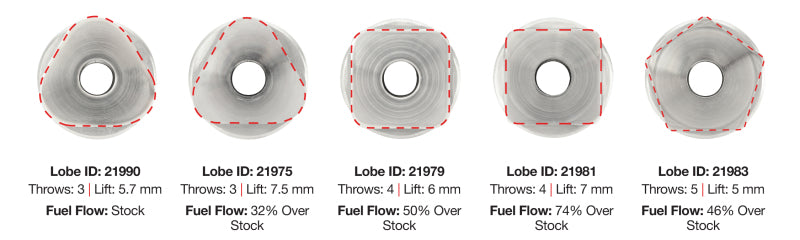 Load image into Gallery viewer, User 5