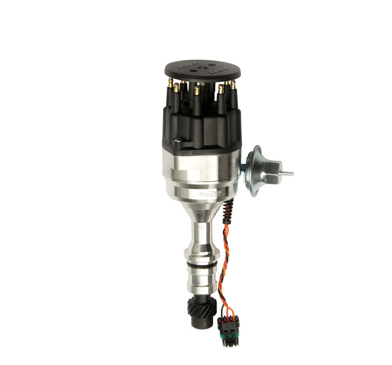 Load image into Gallery viewer, Photo - Primary