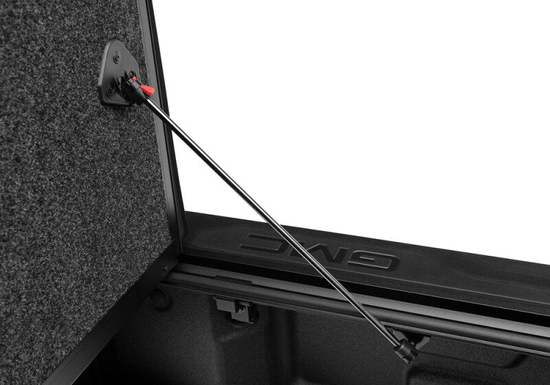 Load image into Gallery viewer, Photo - Mounted