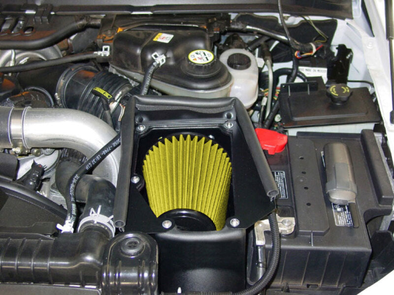 Load image into Gallery viewer, Photo - Mounted