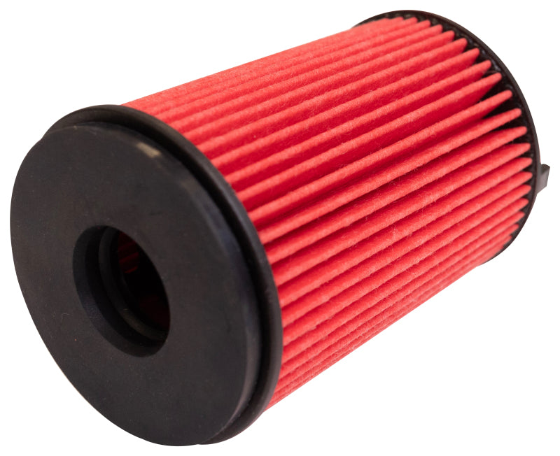 Load image into Gallery viewer, K&N Oil Filter Automotive 21-26 Mazda BT50