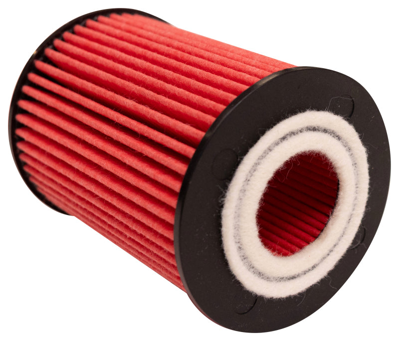 Load image into Gallery viewer, K&N Oil Filter Automotive 20-26 Great Wall Cannon