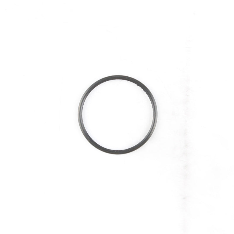 Load image into Gallery viewer, Cometic 03-08 Dodge Cummins 5.9L ISB Common Rail Thermostat Seal