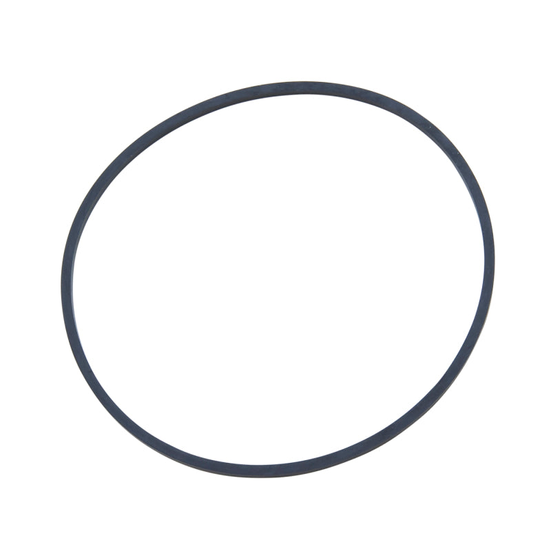 Load image into Gallery viewer, Yukon Gear O-Ring For Left Hand Carrier Bearing Adjuster For 9.25in GM IFS