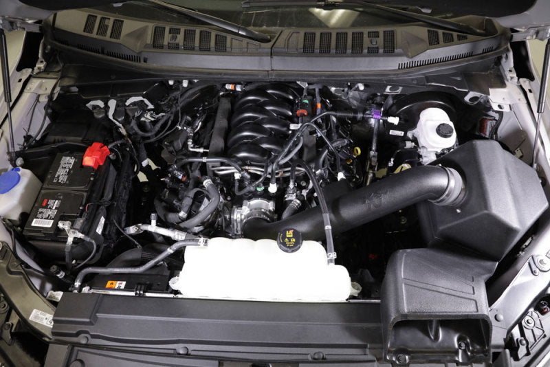 Load image into Gallery viewer, K&N 63 Series AirCharger Performance Intake 15-19 Ford F150 5.0L V8 F/I
