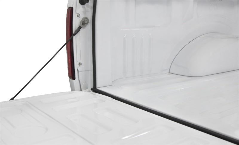 Load image into Gallery viewer, Access Accessories TRAILSEAL Tailgate Gasket 1 Kit Fits All Pickups