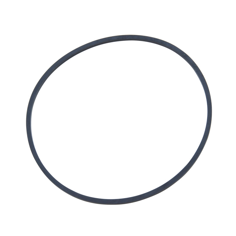 Load image into Gallery viewer, Yukon Gear O-Ring For Left Hand Carrier Bearing Adjuster For 9.25in GM IFS