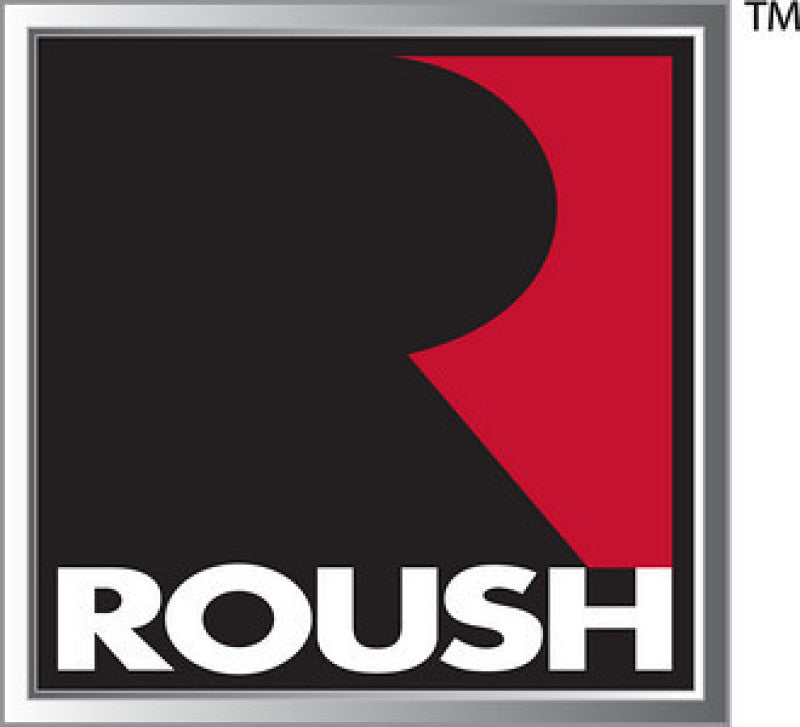 Load image into Gallery viewer, Roush 05-09 Ford Mustang Low Temp Intercooler (For 420112/420113/421114)