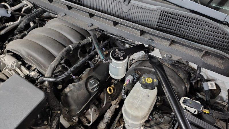 Load image into Gallery viewer, Photo - Mounted
