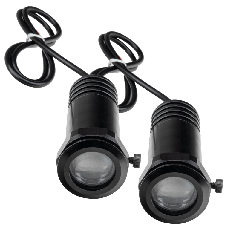 Load image into Gallery viewer, Oracle Door LED Projectors - Texas
