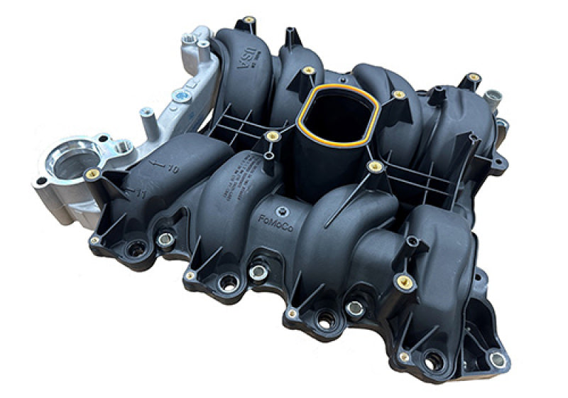Load image into Gallery viewer, Ford Racing 01-04 Mustang GT 4.6L SOHC 2V Perf Improvement Intake Manifold (Req Manifold Gasket Set)
