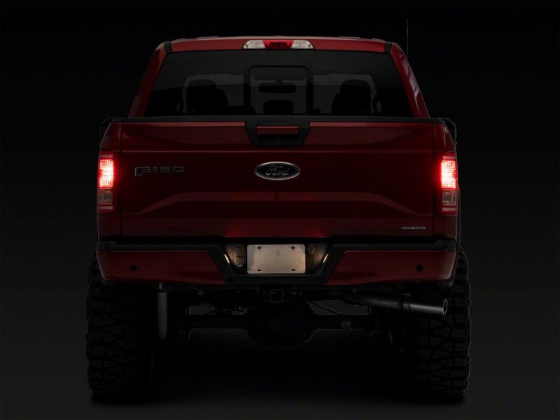 Load image into Gallery viewer, Raxiom 15-23 Ford F-150 Axial Series OEM Replacement License Plate Lamps
