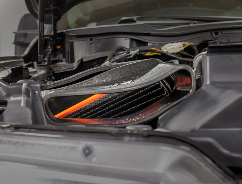 Load image into Gallery viewer, Photo - Mounted
