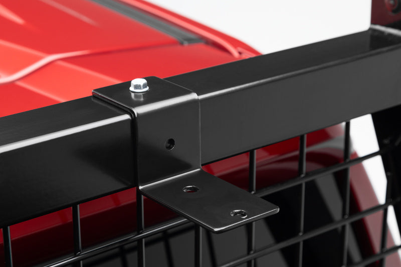 Load image into Gallery viewer, Photo - Close Up
