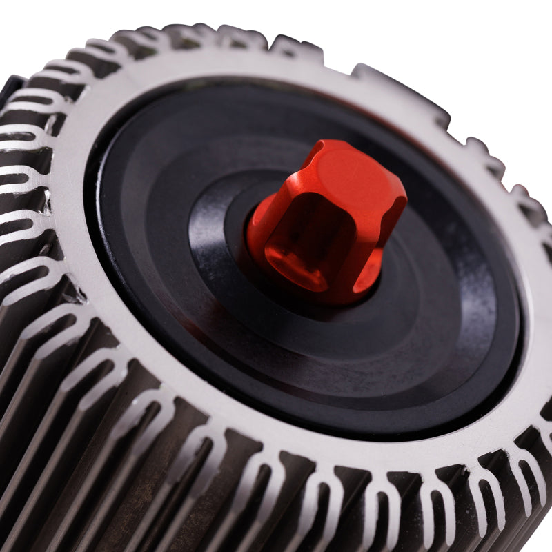 Load image into Gallery viewer, Photo - Close Up
