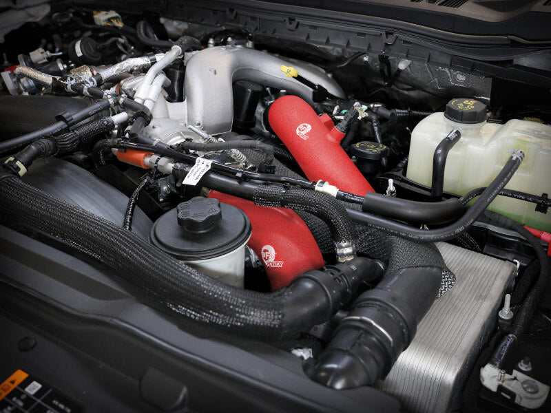 Load image into Gallery viewer, Photo - Mounted
