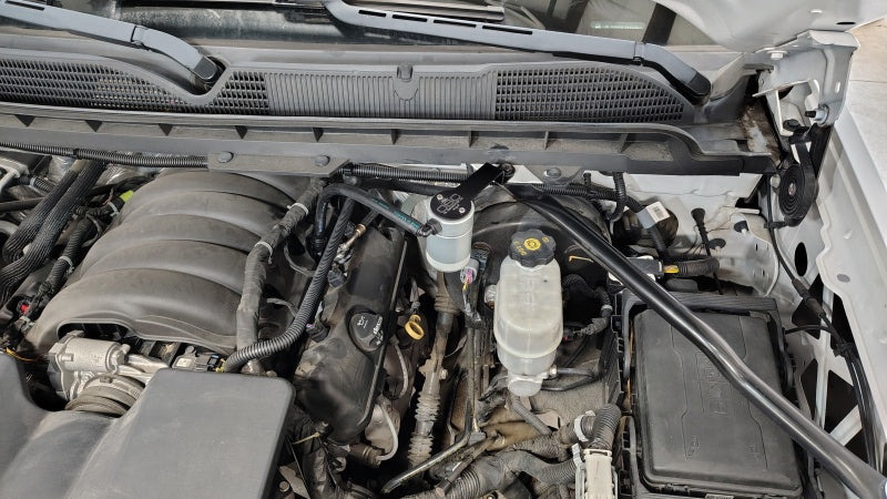 Load image into Gallery viewer, Photo - Mounted
