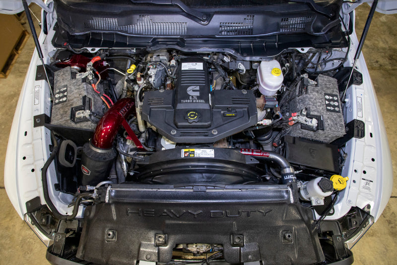 Load image into Gallery viewer, User 2
