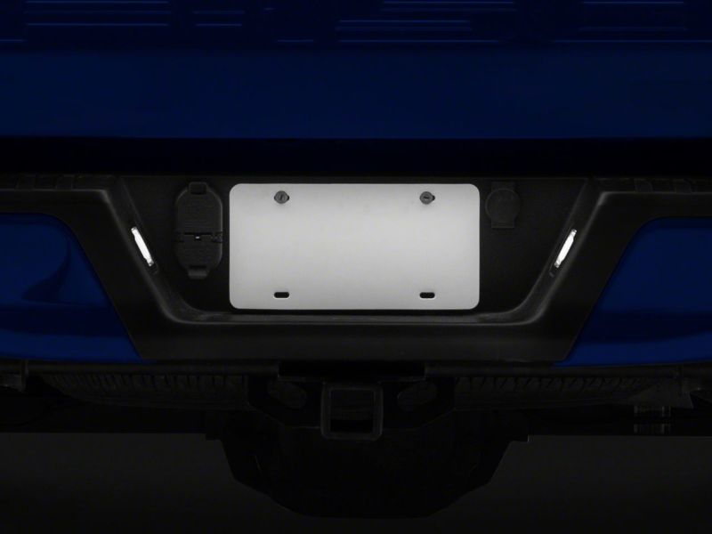 Load image into Gallery viewer, Raxiom 15-23 Ford F-150 Axial Series LED License Plate Lamps
