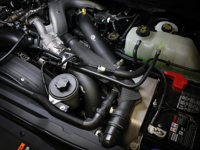 Load image into Gallery viewer, Photo - Mounted
