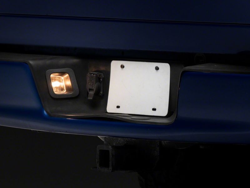 Load image into Gallery viewer, Raxiom 02-10 Dodge RAM 1500/2500 Axial Series OE Replacement License Plate Lamps
