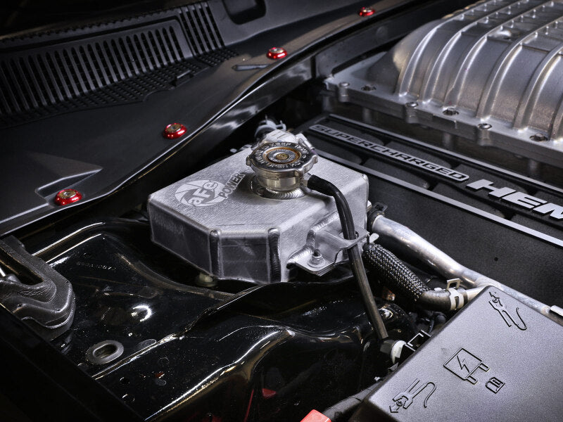 Load image into Gallery viewer, Photo - Mounted
