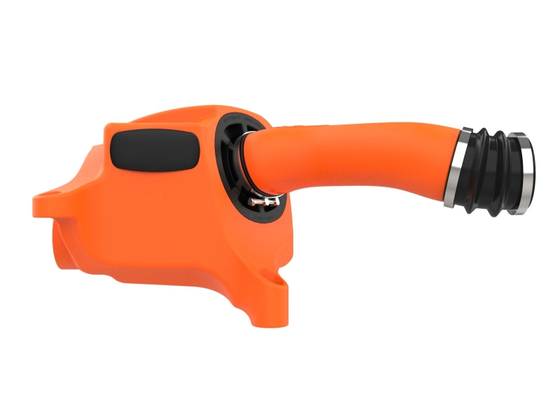 Load image into Gallery viewer, Photo - Unmounted
