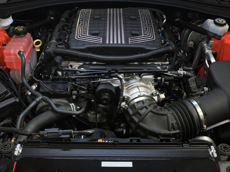 Load image into Gallery viewer, Photo - Mounted
