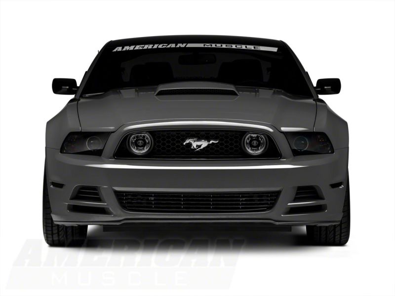 Load image into Gallery viewer, Raxiom 13-14 Ford Mustang GT CCFL Halo Fog Lights- Chrome
